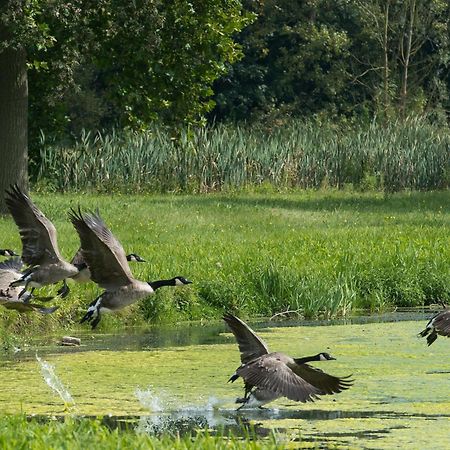 B&B Park7 Wavre - Leuven Huldenberg Zewnętrze zdjęcie