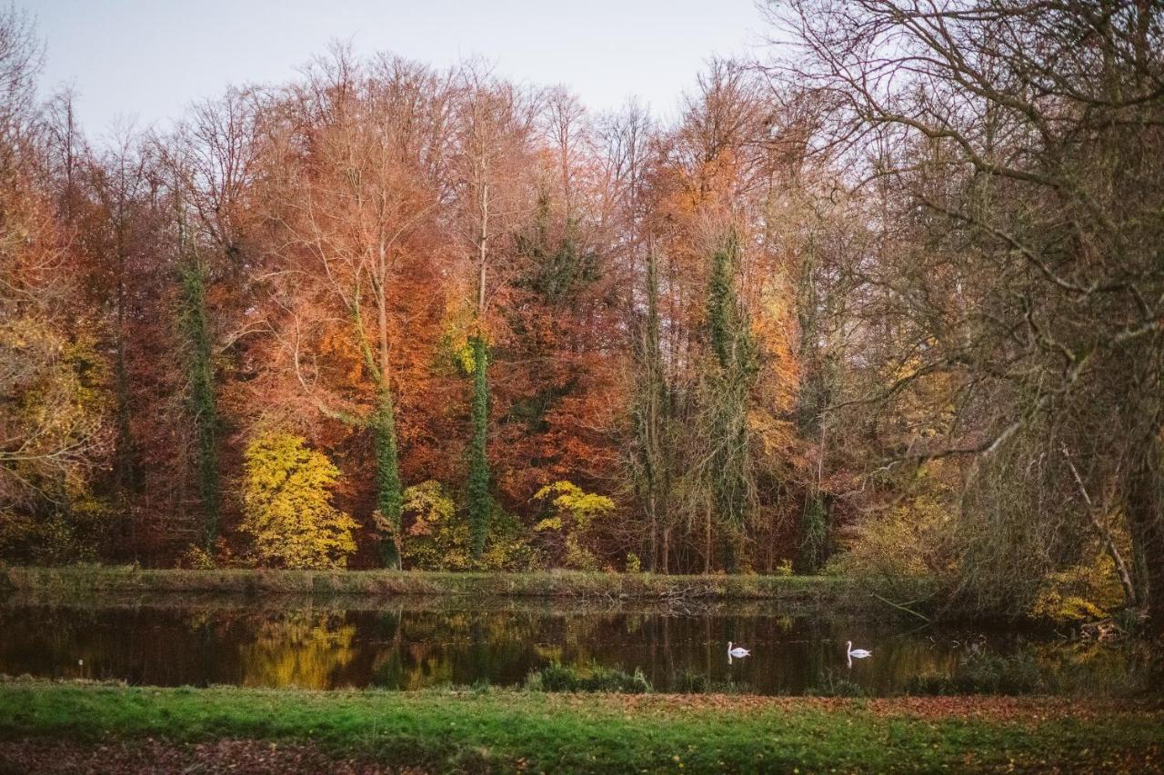 B&B Park7 Wavre - Leuven Huldenberg Zewnętrze zdjęcie