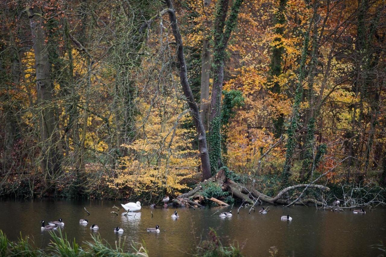 B&B Park7 Wavre - Leuven Huldenberg Zewnętrze zdjęcie