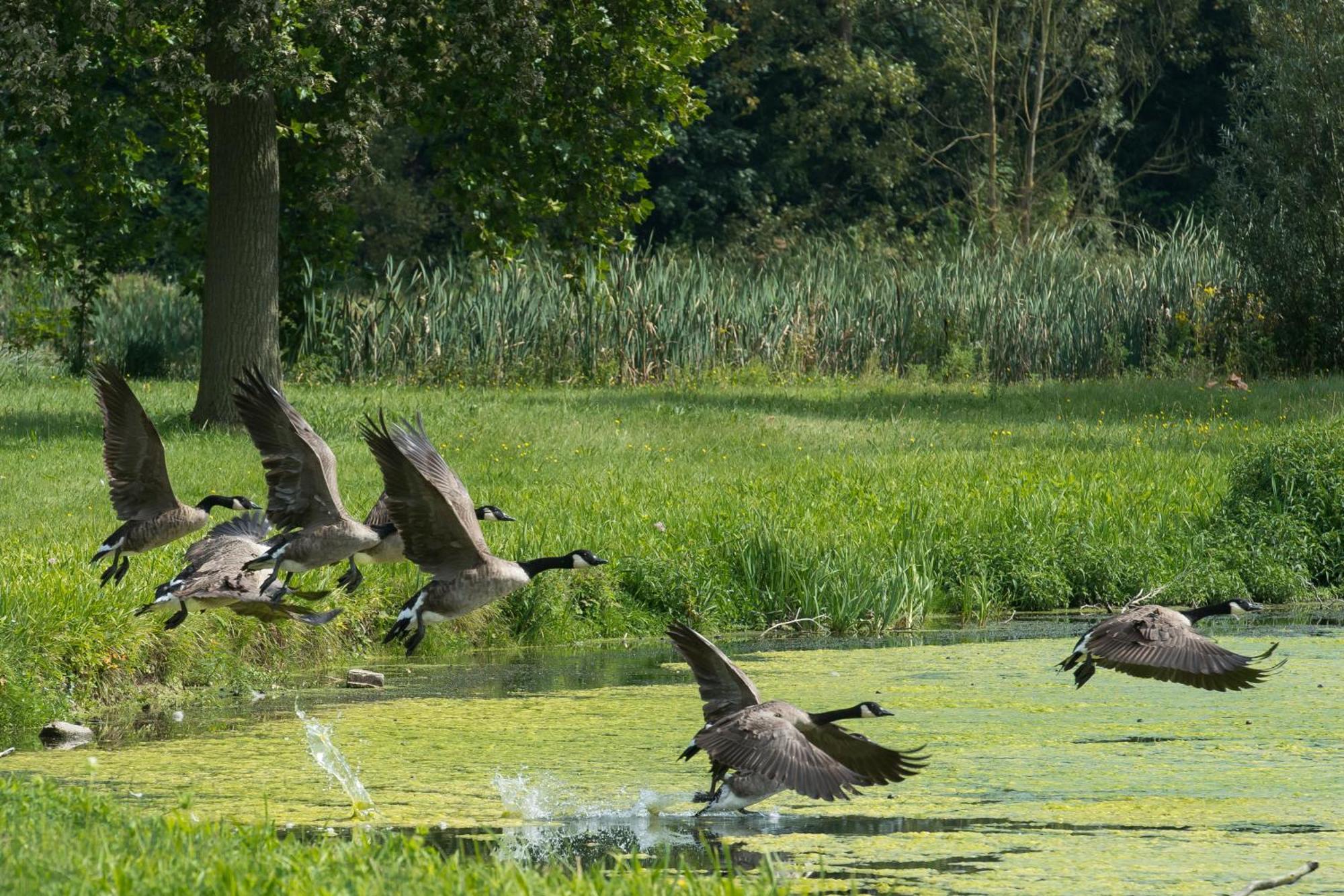 B&B Park7 Wavre - Leuven Huldenberg Zewnętrze zdjęcie